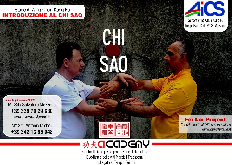 CHI SAO Wing Tsun  Fei Loi Project Kung Fu seminars Arti marziali cinesi Cina Italia wing chun Ip Man, weng chun Tang Yik, Chi Kung